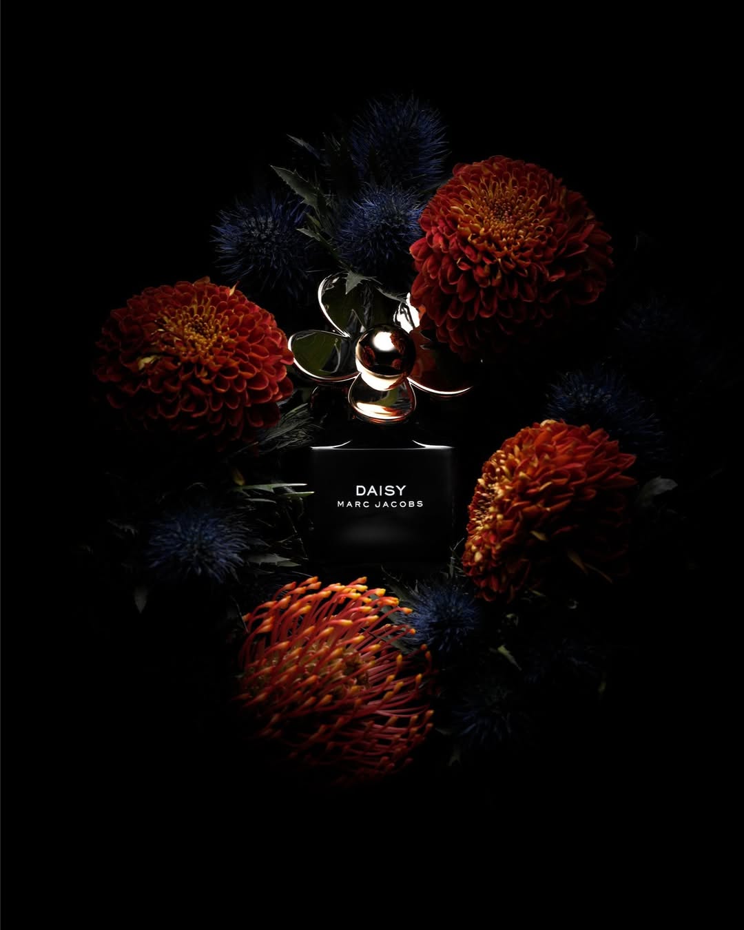 Marc Jacobs Fragrances |  Nov. 25