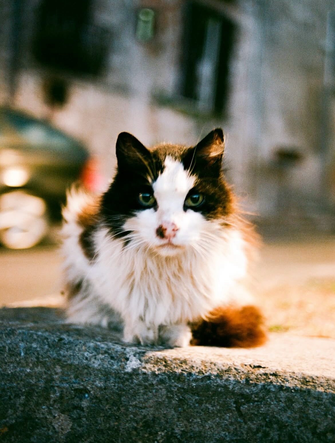 slider image