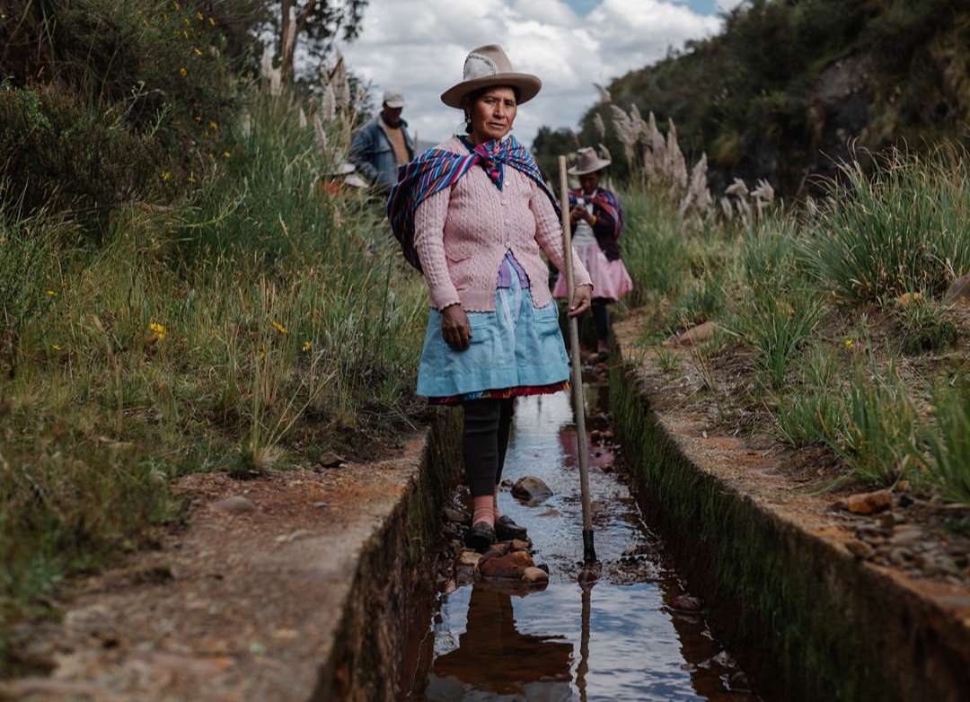 Wellcome Photography Prize |  Jul. 25