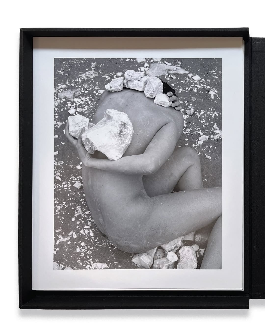 A true extension of her artistic vision, photograp...