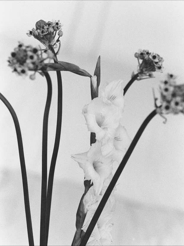 We are thrilled to welcome photographer Xavier Mas...