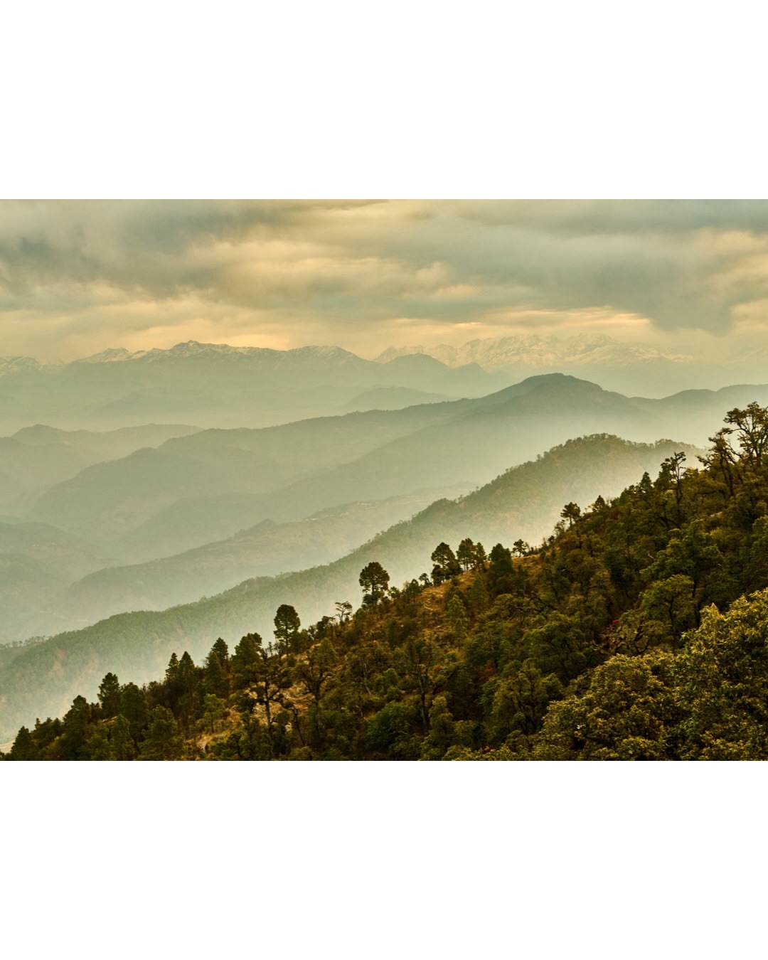 Gentl and Hyers (@gentlandhyers) photograph the co...