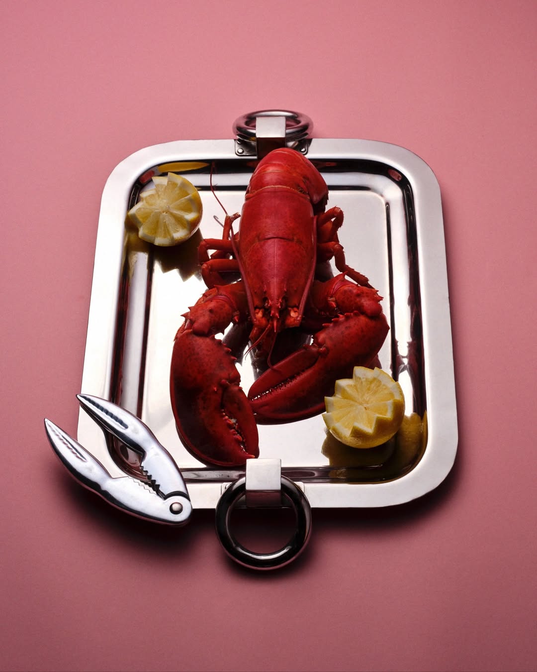 Lucia Bell-Epstein (@luuuuush) photographs the @re...