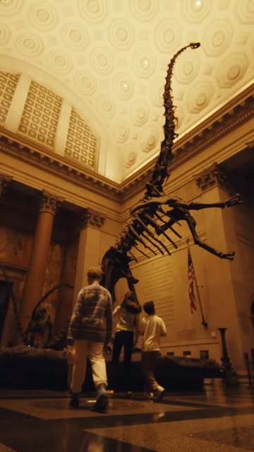 The New York Times |  Dec. 25