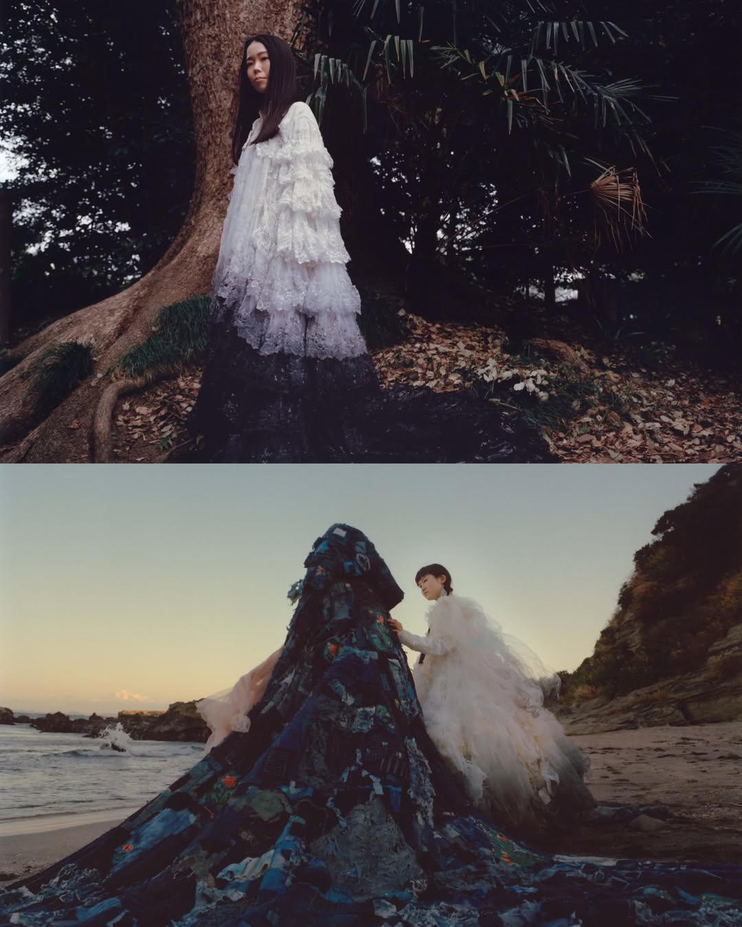 (Tentative) |  Nov. 25