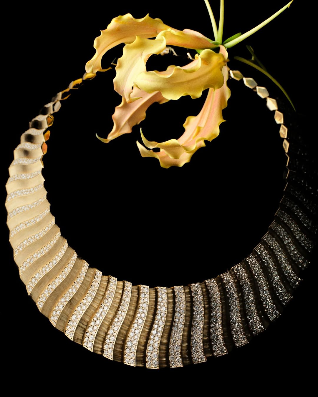 Vchina_official |  Nov. 25