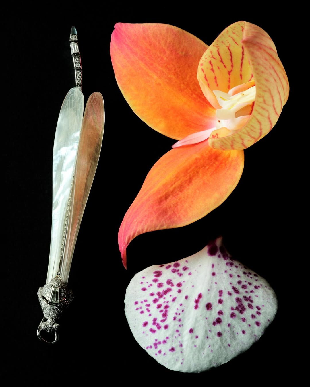 Vchina_official |  Nov. 25