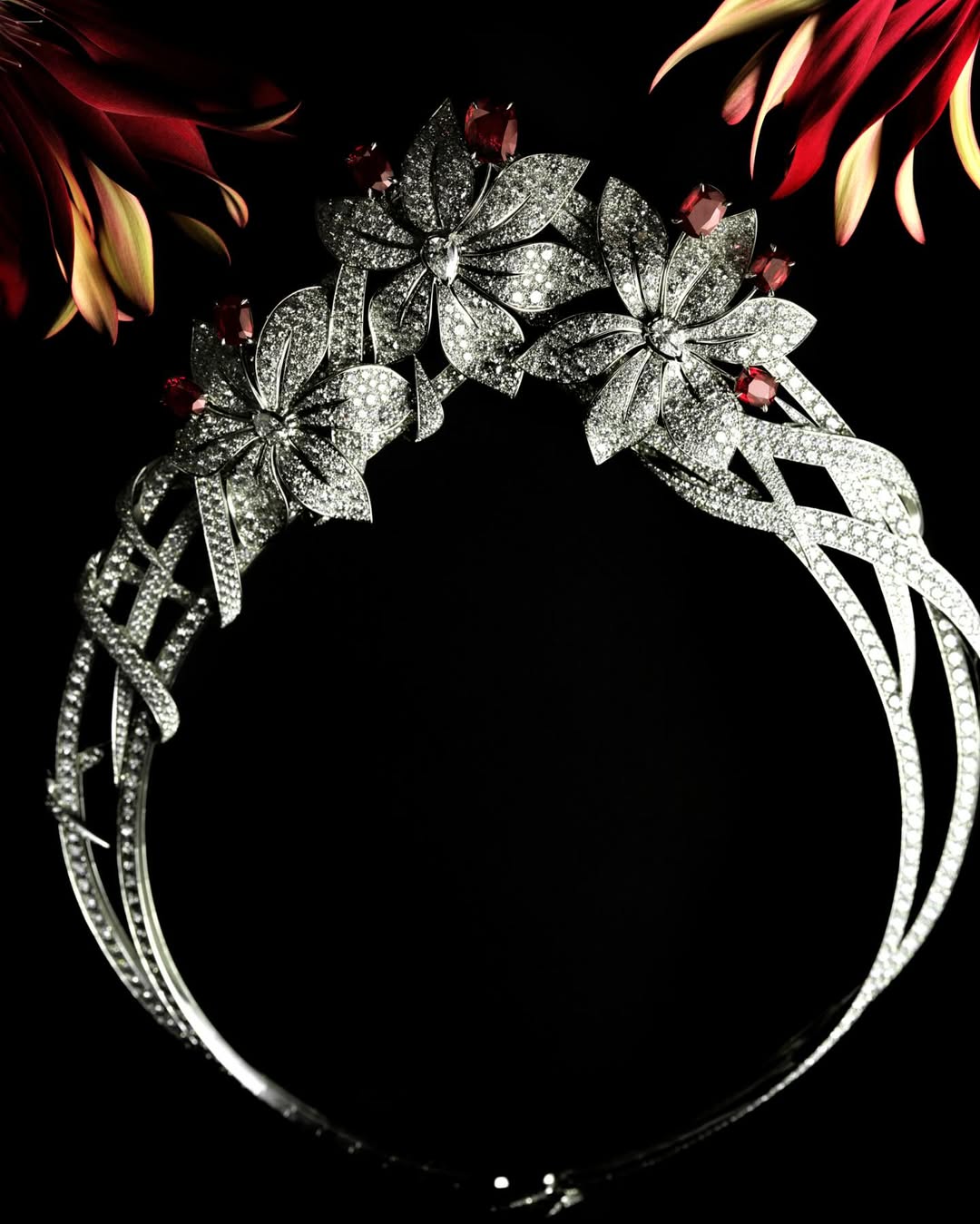 Vchina_official |  Nov. 25