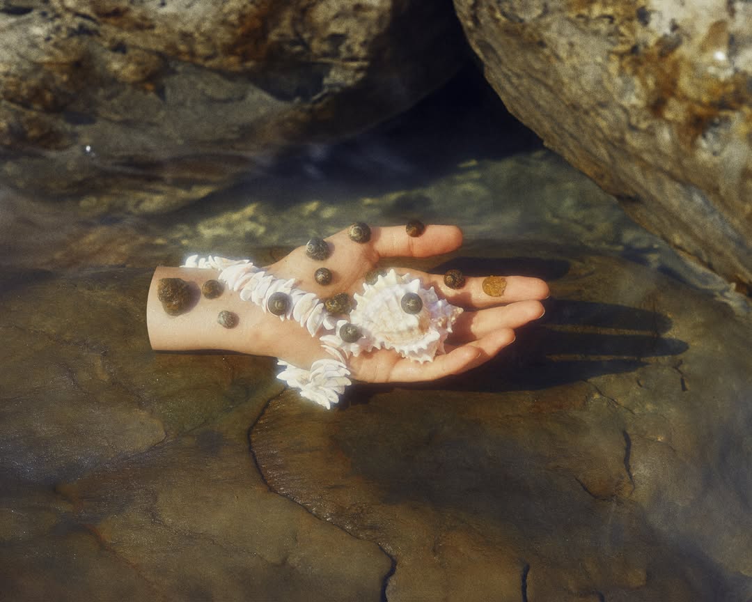 PARDOhats |  Oct. 25