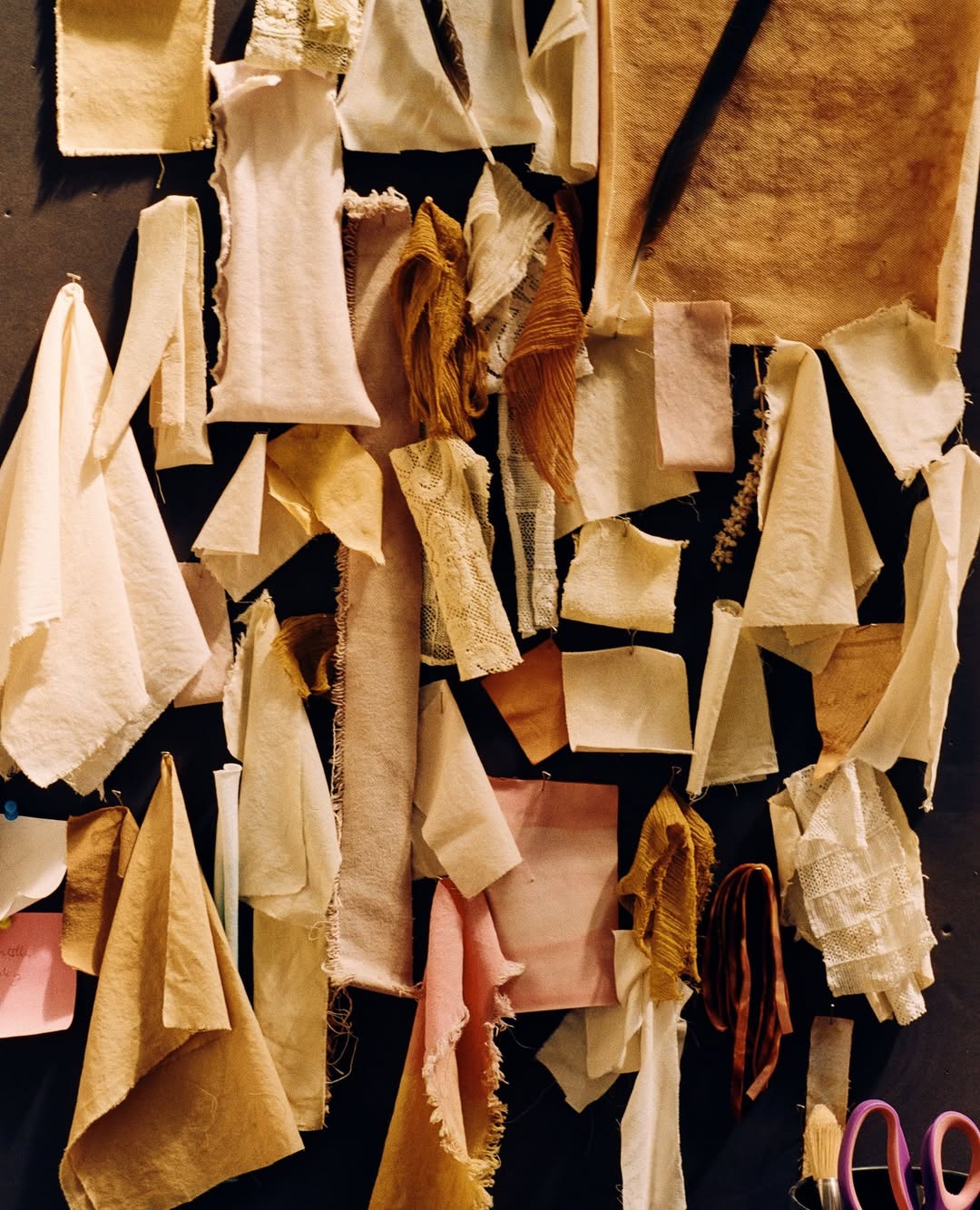 Guillaume Blot X M Le Monde