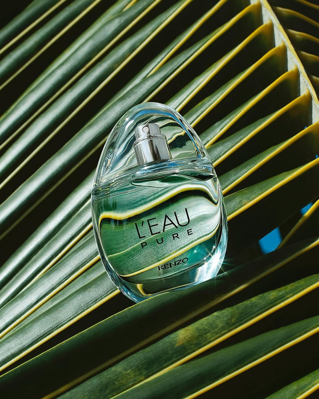 Kenzo Parfums |  Jul. 25