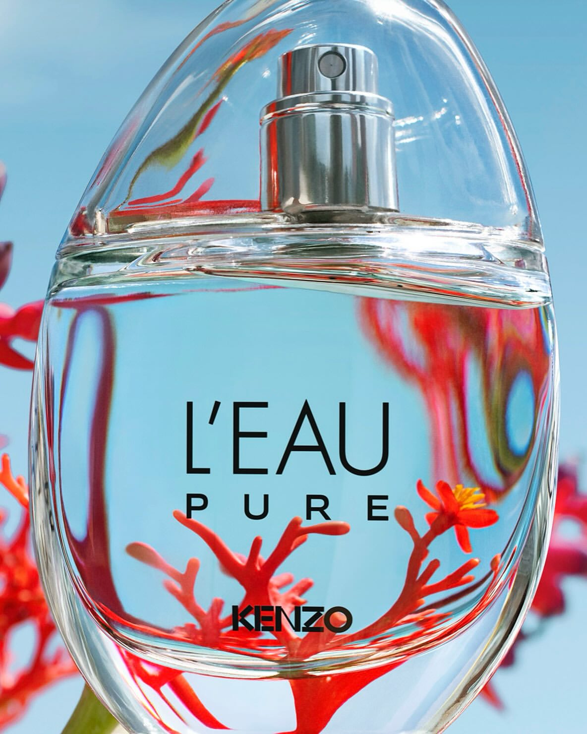 Kenzo Parfums |  Jul. 25