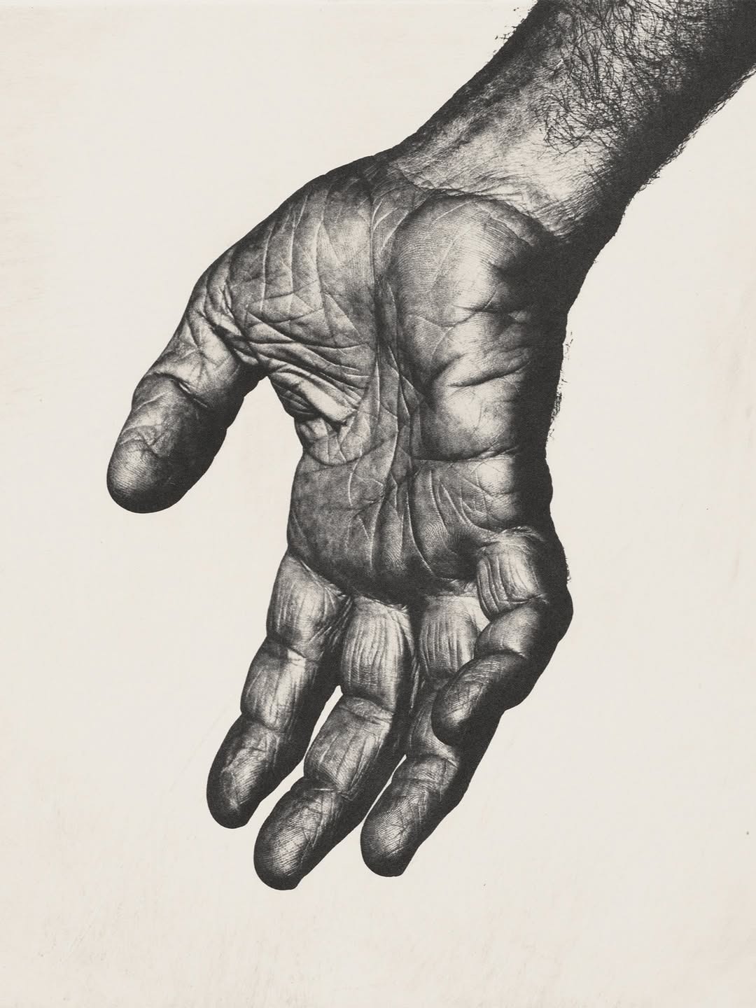 Paris Photo Fair |  Nov. 25