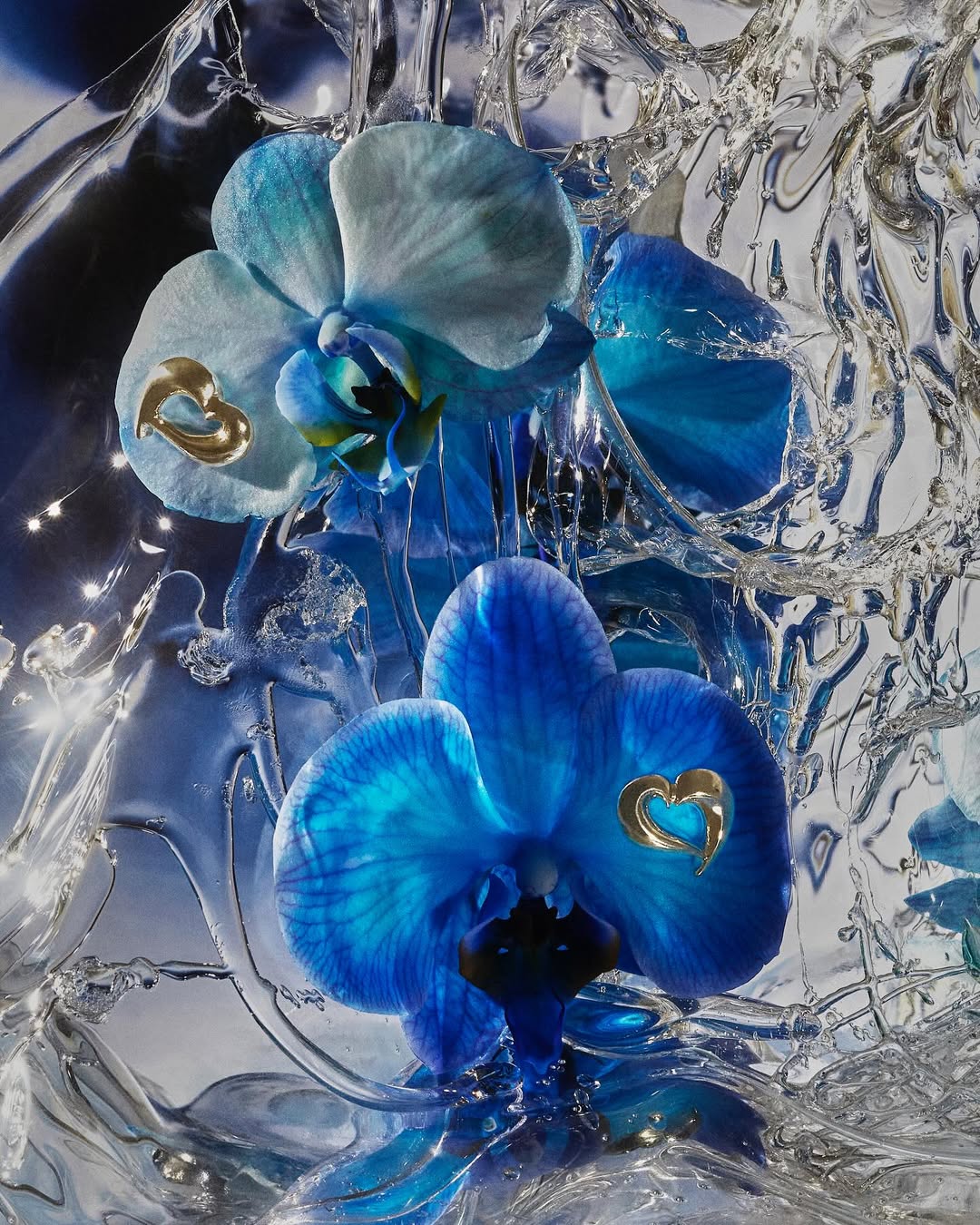 Annelise Michelson Jewelry |  Aug. 25