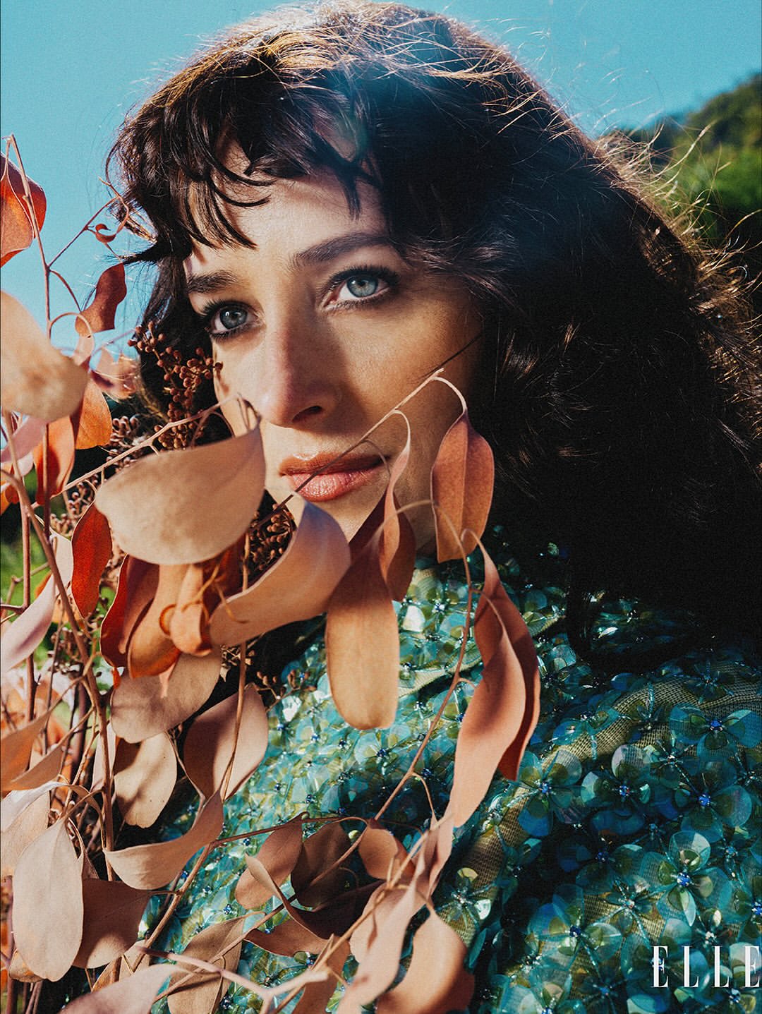  LA’s Golden Hour, Brazil’s Creative Power!