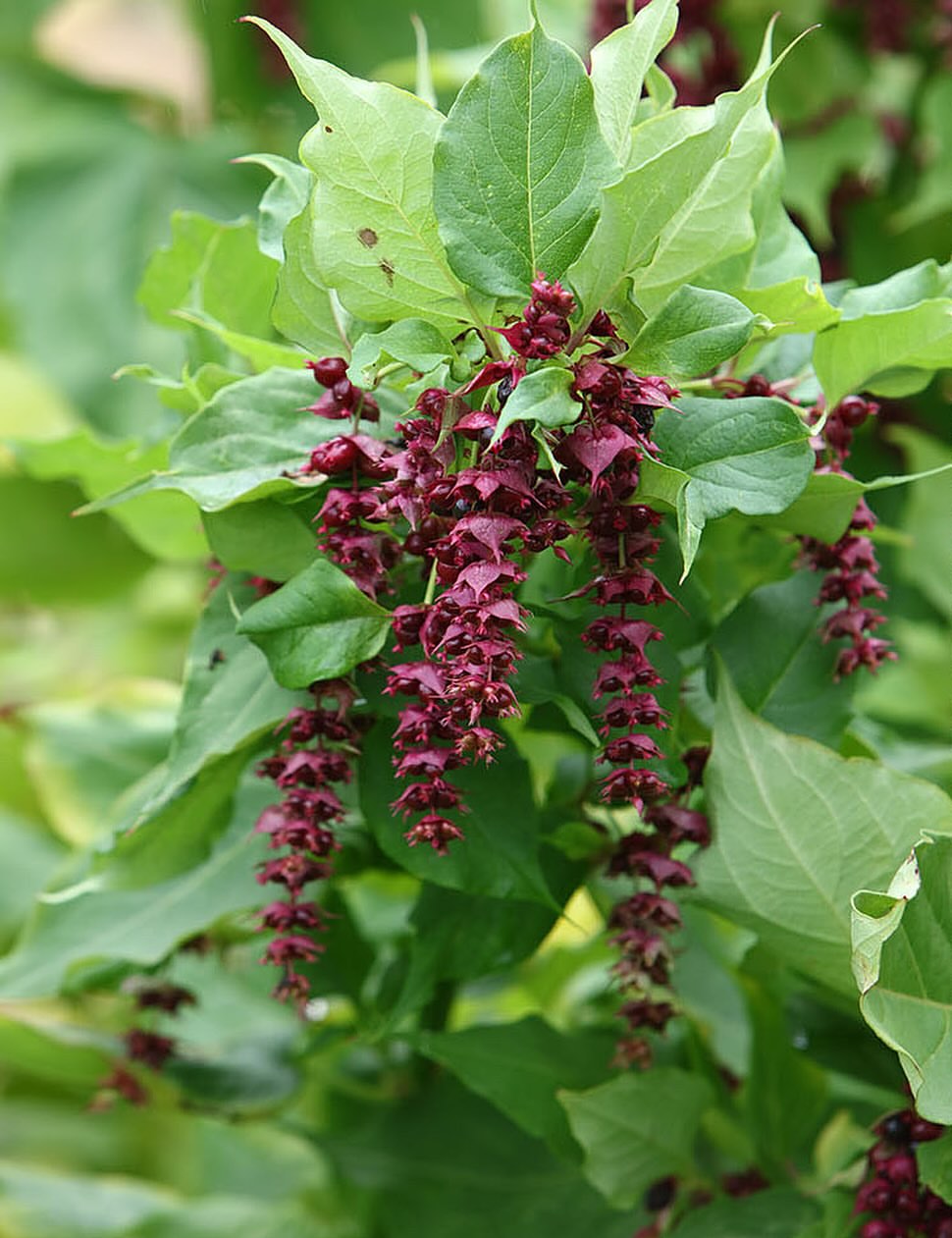 Le Parisien Week-End |  Oct. 25