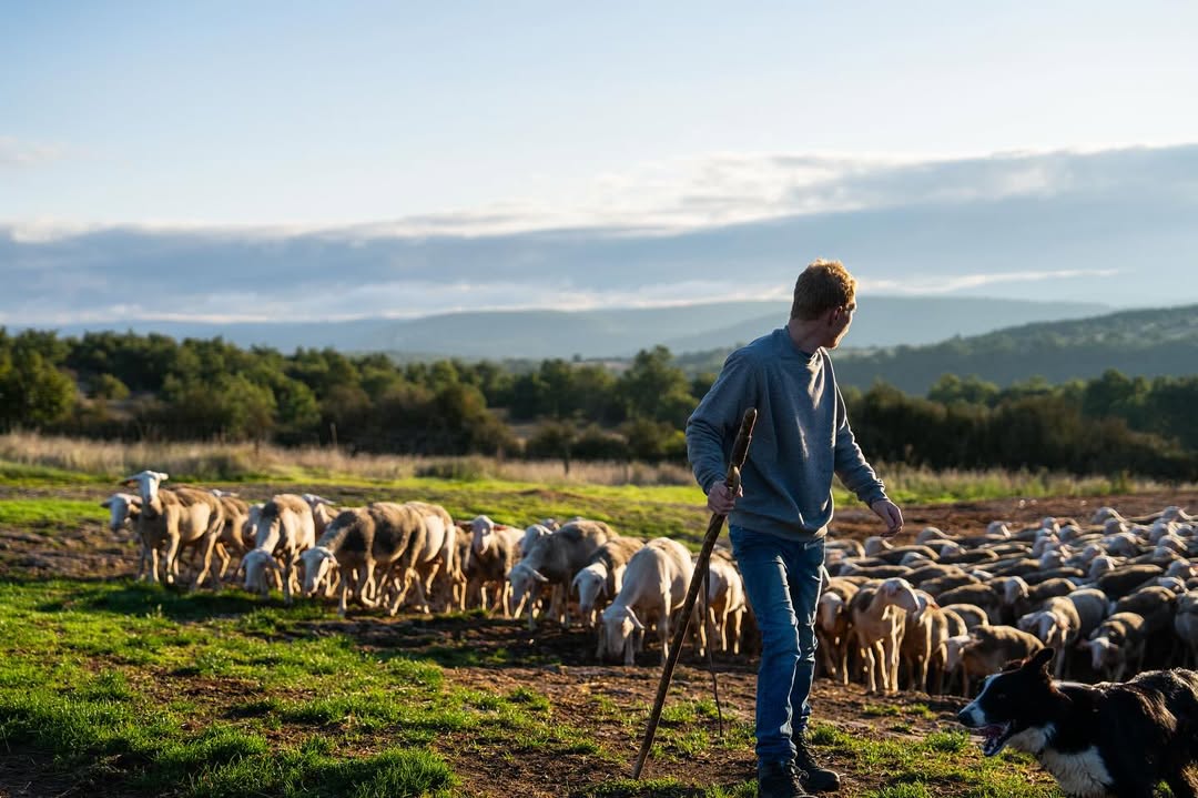 La Bergerie Bio |  Sep. 25