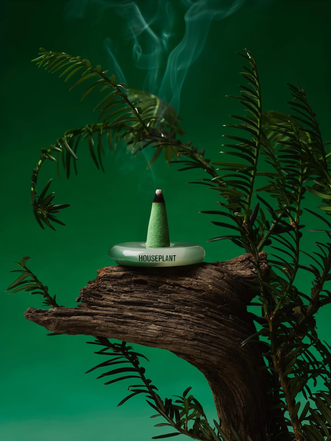 Luke Kirwan X ripple+