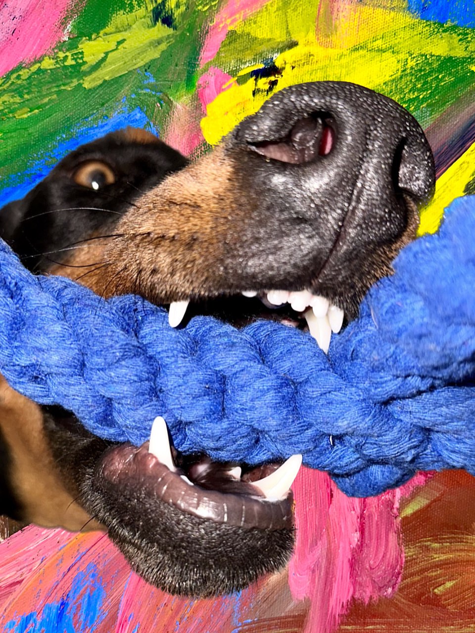slider image