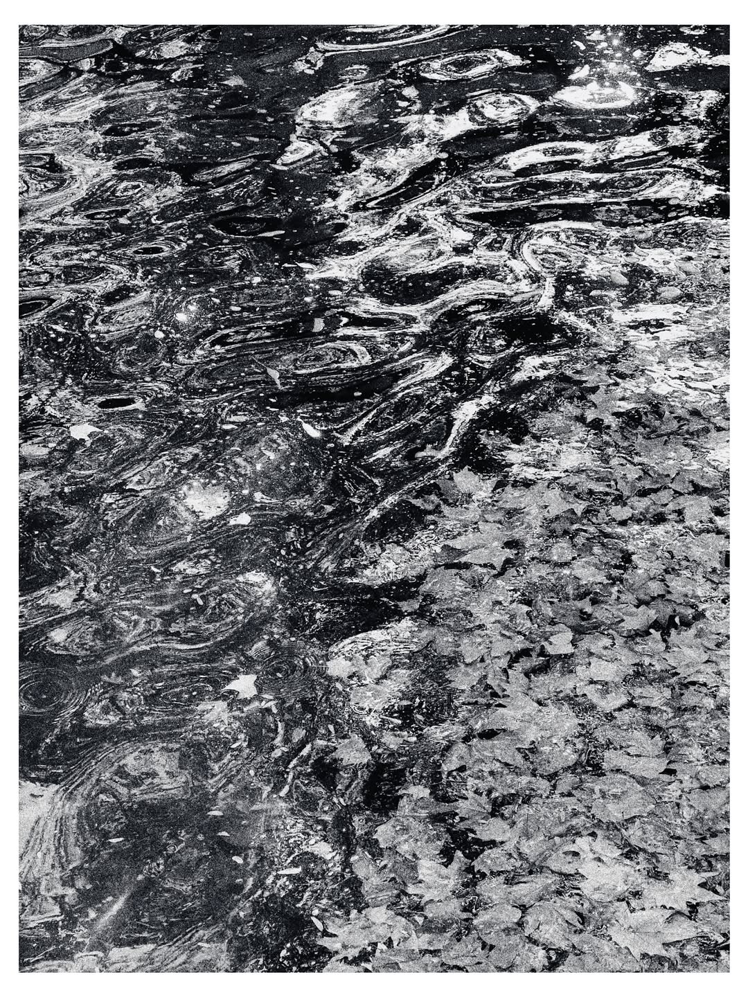 Mario  Sorrenti
