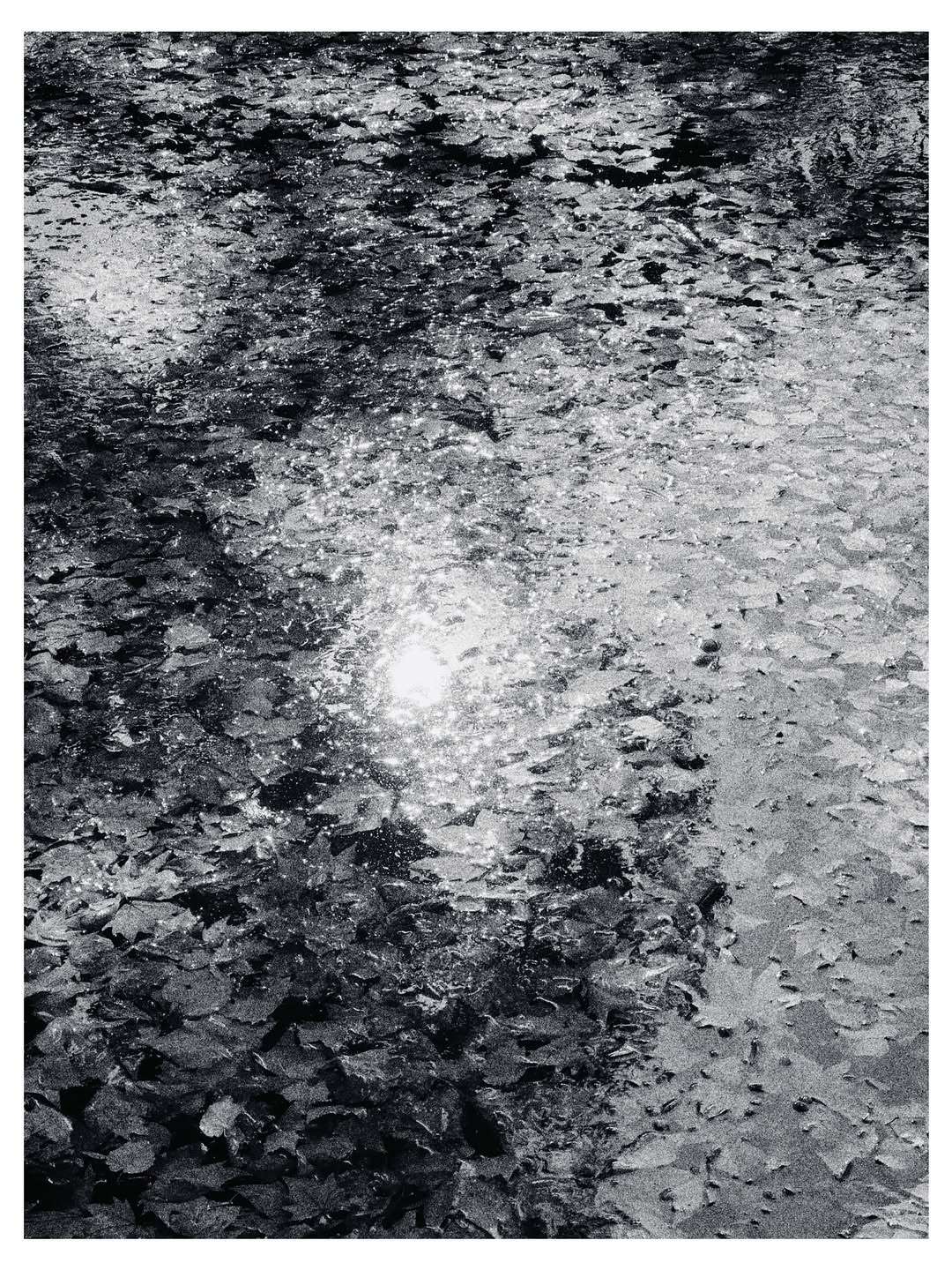 Mario  Sorrenti