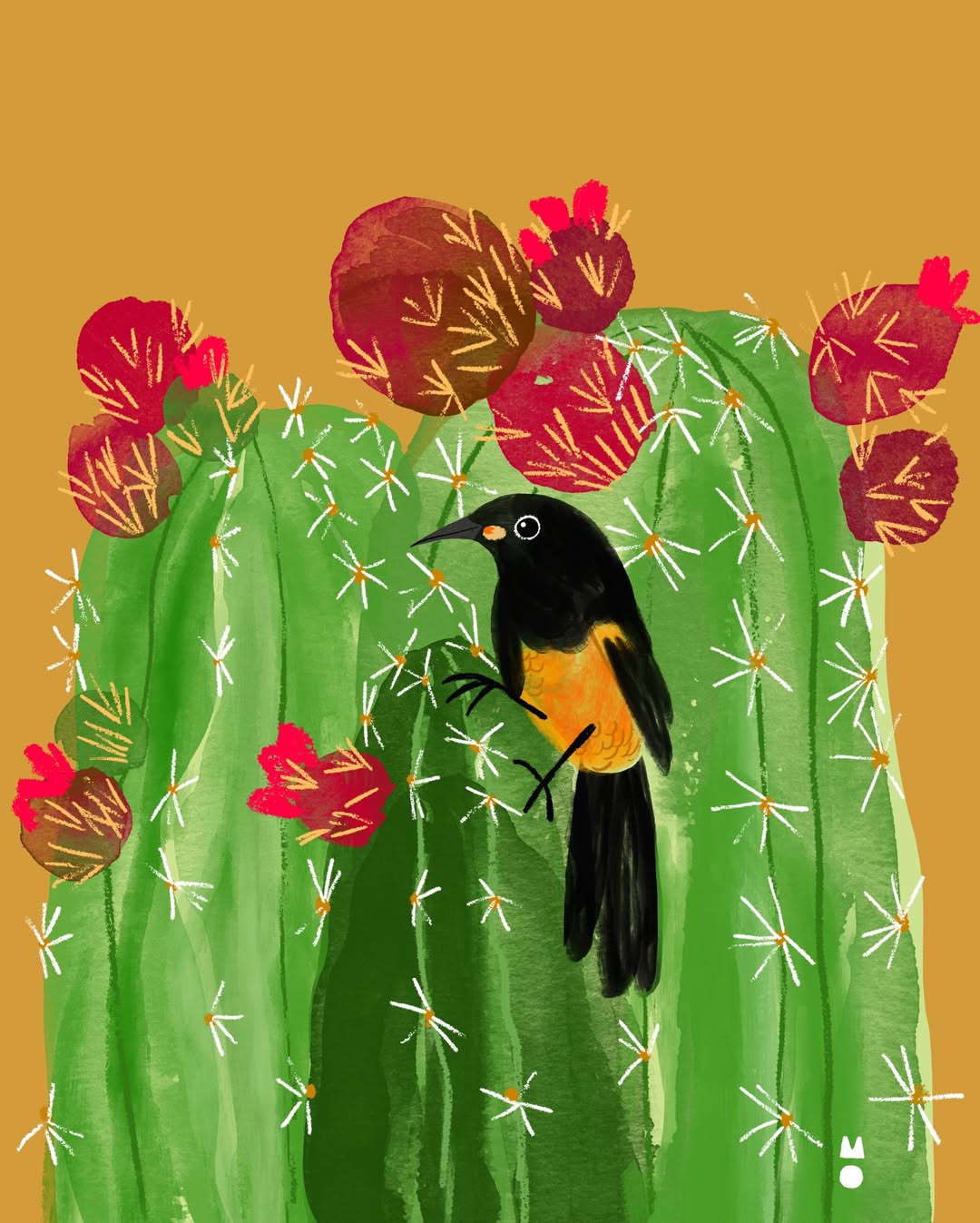 slider image