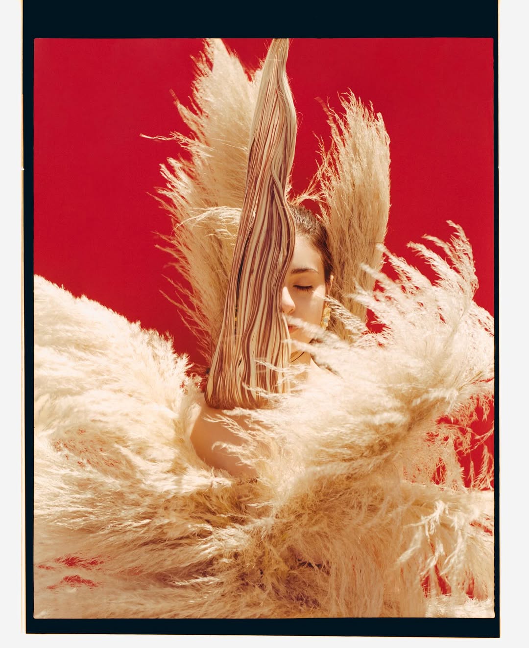 Shot over six months on medium-format (120) film, ...