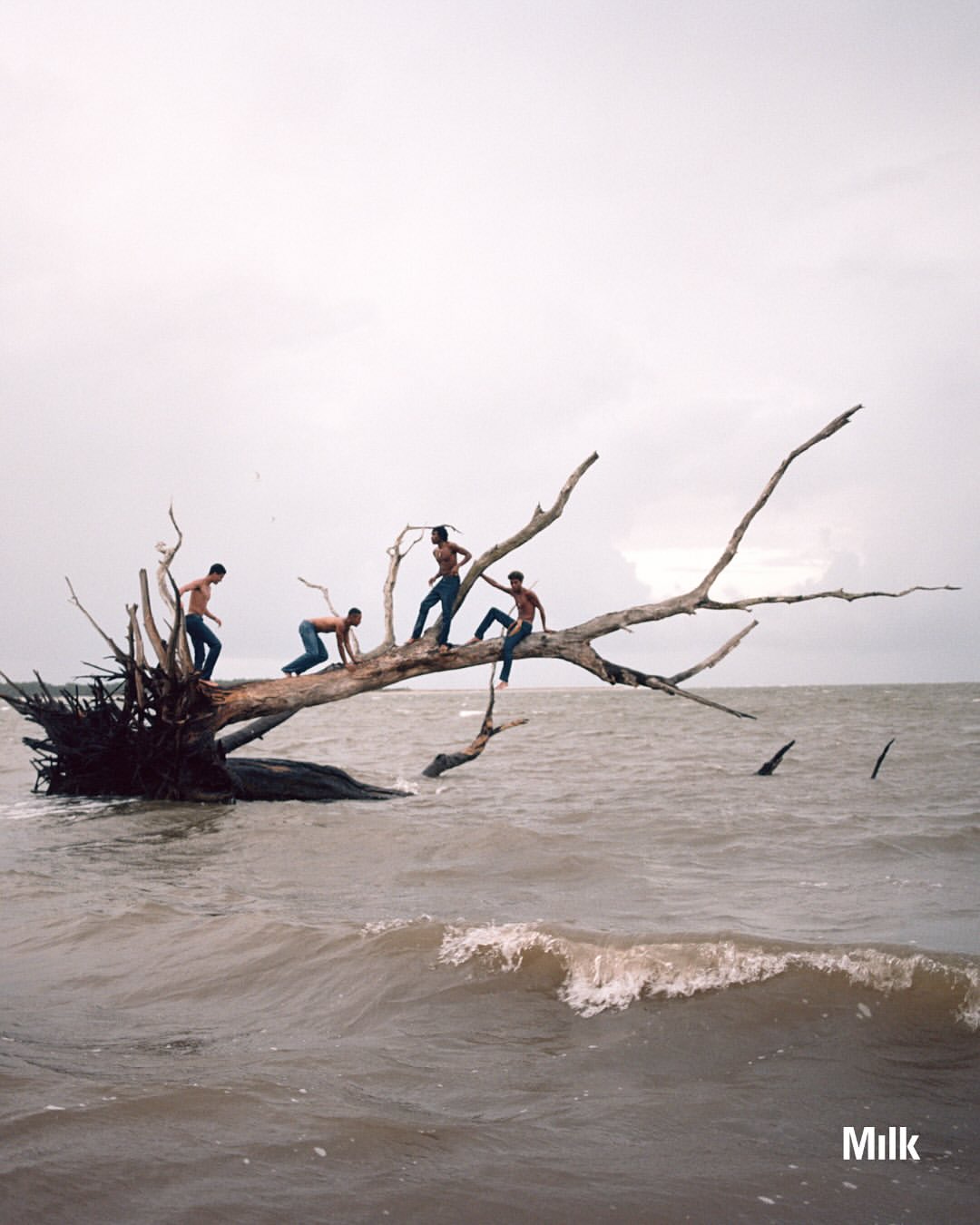 Artist Spotlight: Miami based photographer @jda.us...