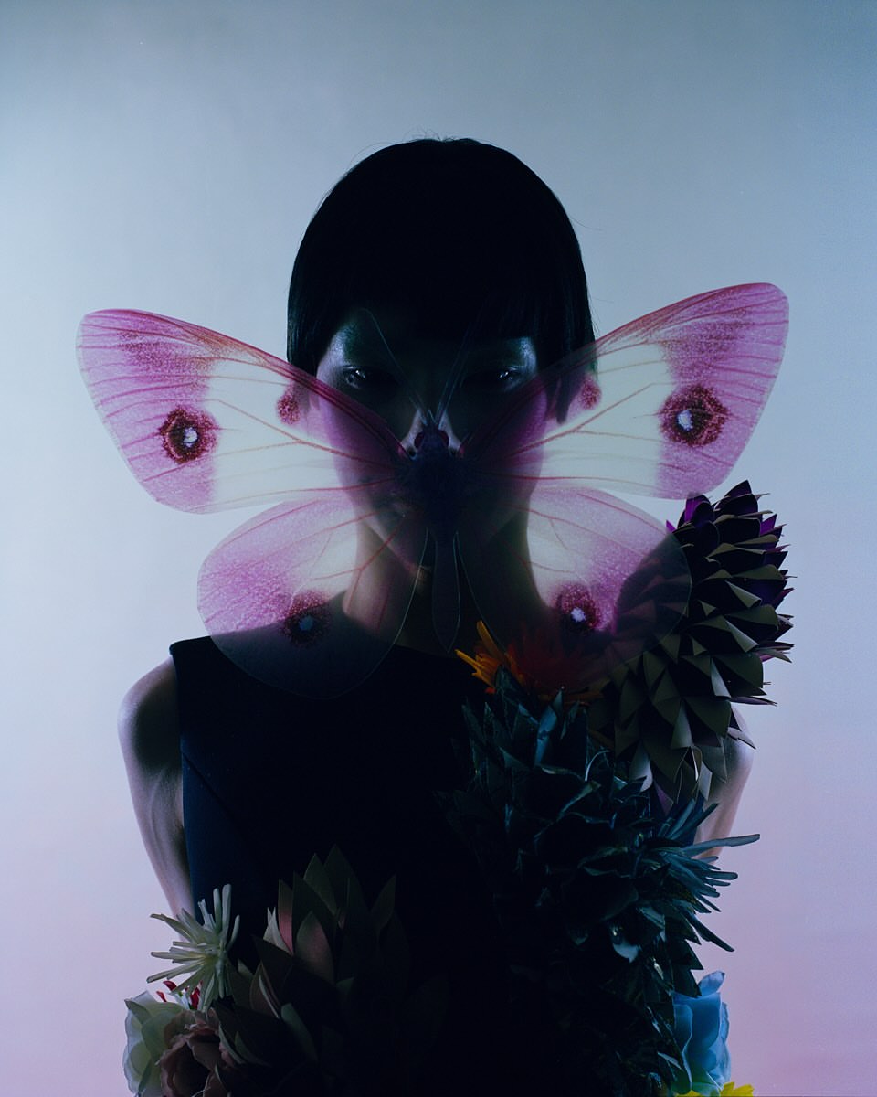 “Metamorphosis”, captured by photographer @yan...