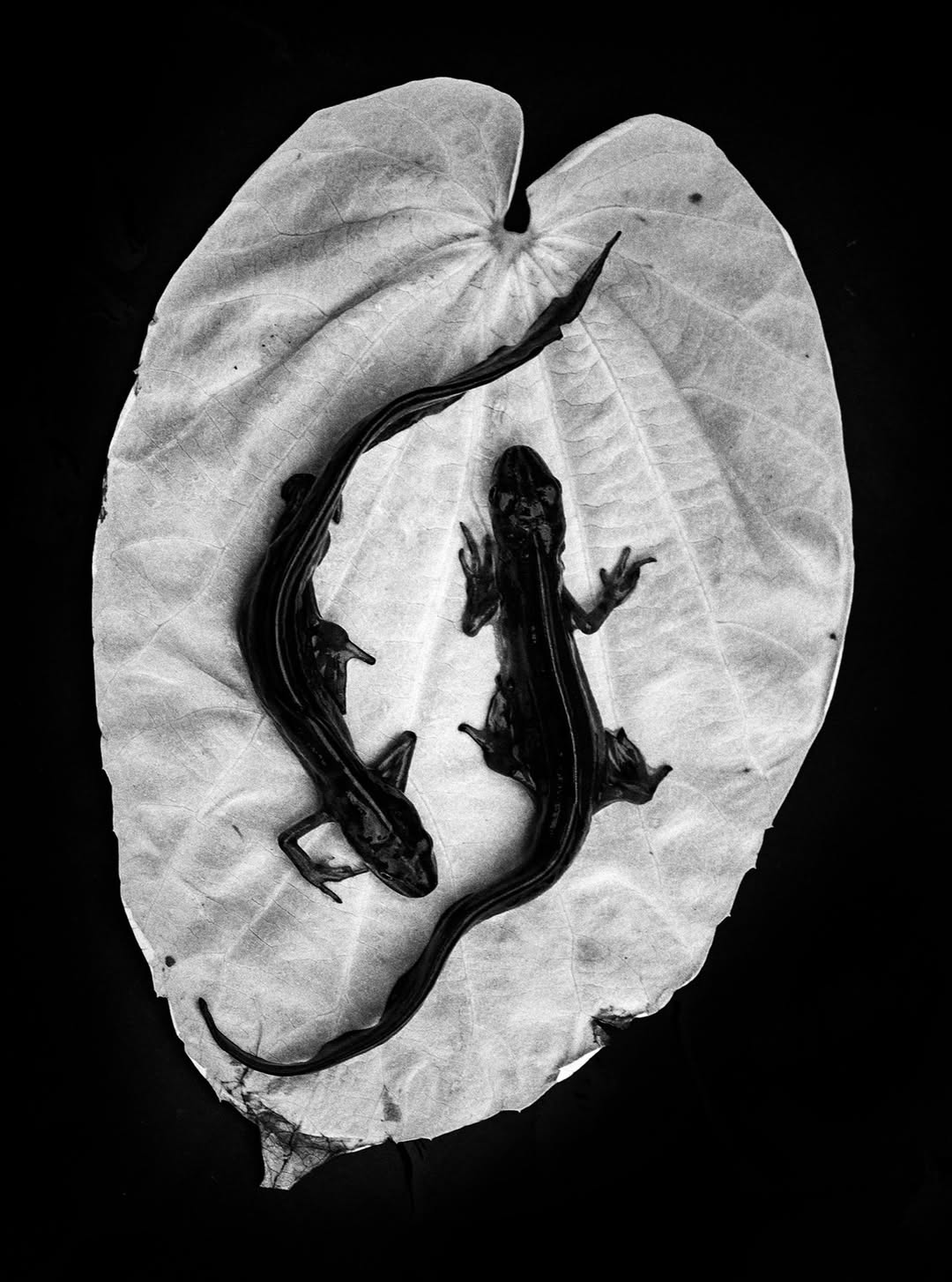 Jack Davison X Sixteen Journal