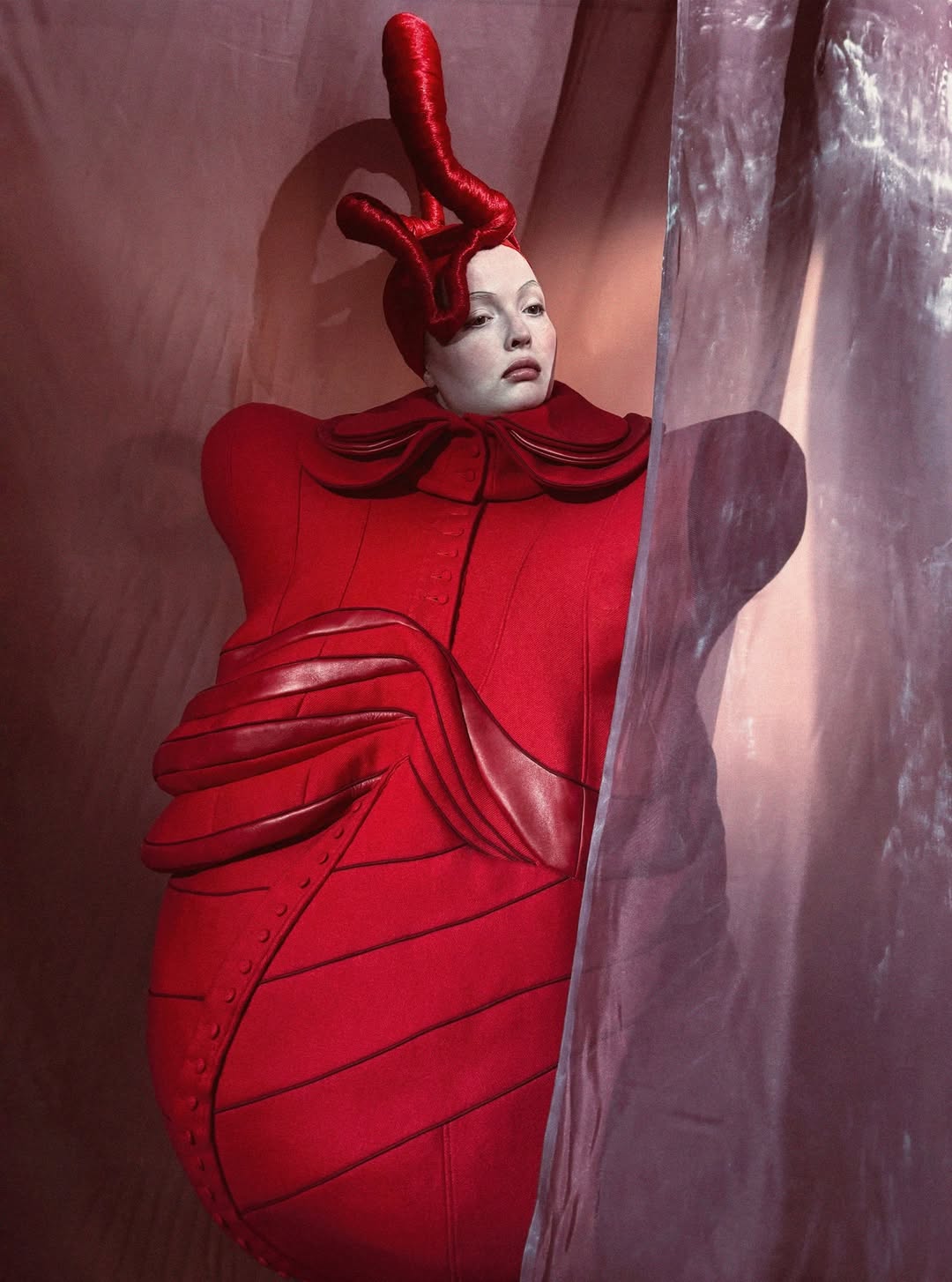 Nicola Boyer |  Nov. 25