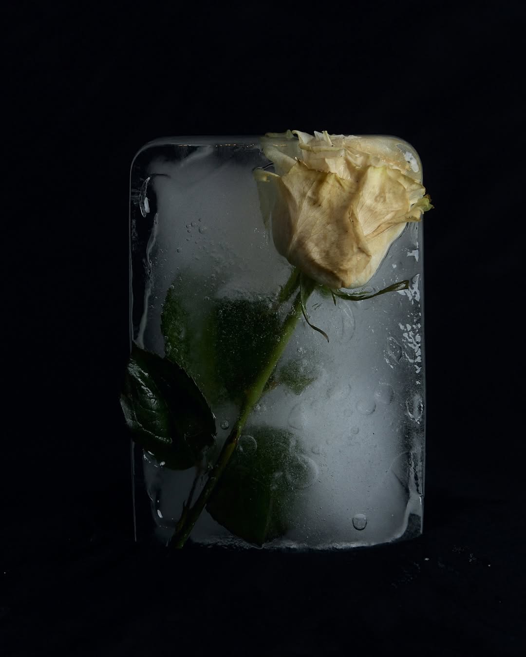 Daisy Walker X REOME