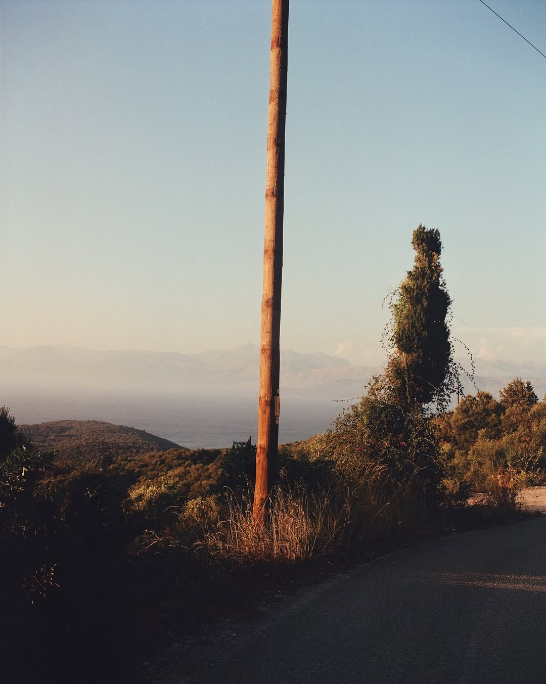 Miro Lovejoy Teplitzky