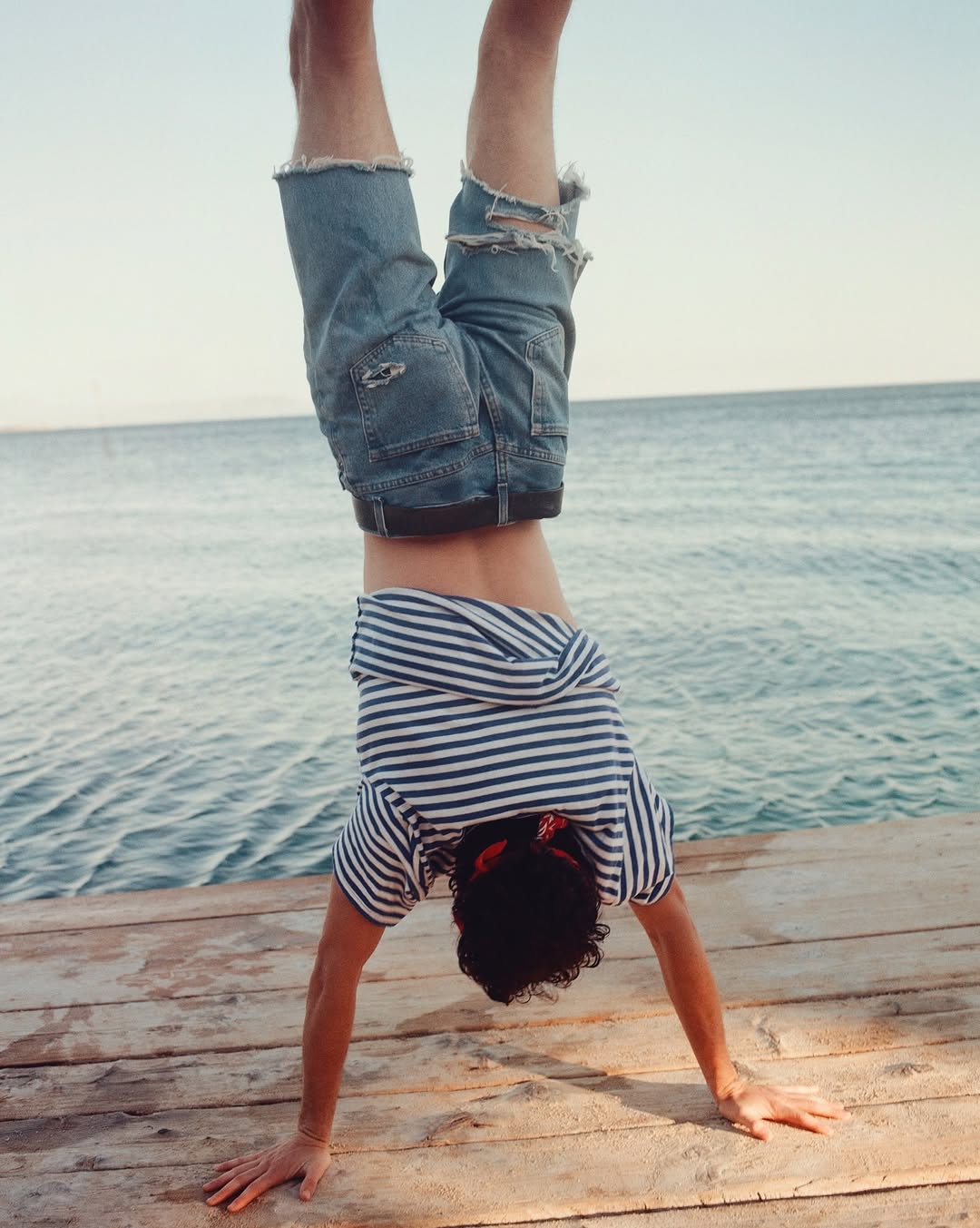 Miro Lovejoy Teplitzky