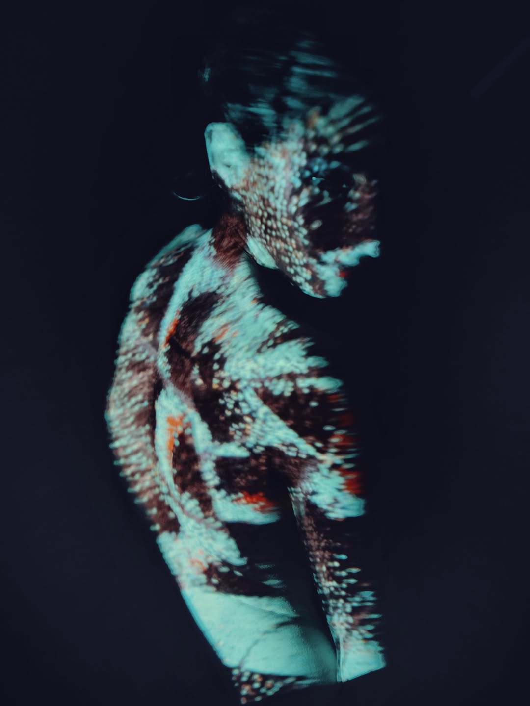 Miro Lovejoy Teplitzky