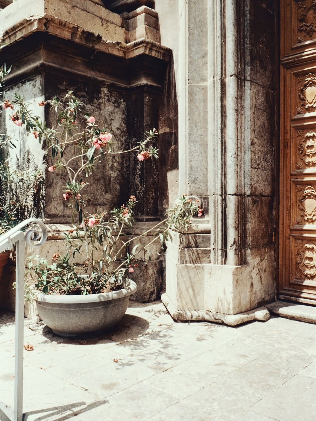 Miro Lovejoy Teplitzky