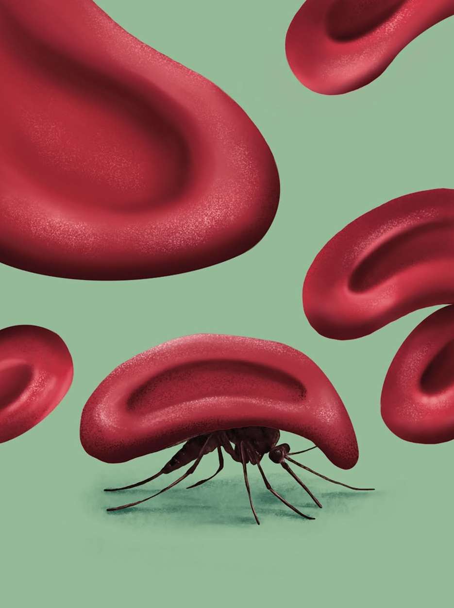 Weill Cornell Medicine |  Nov. 25