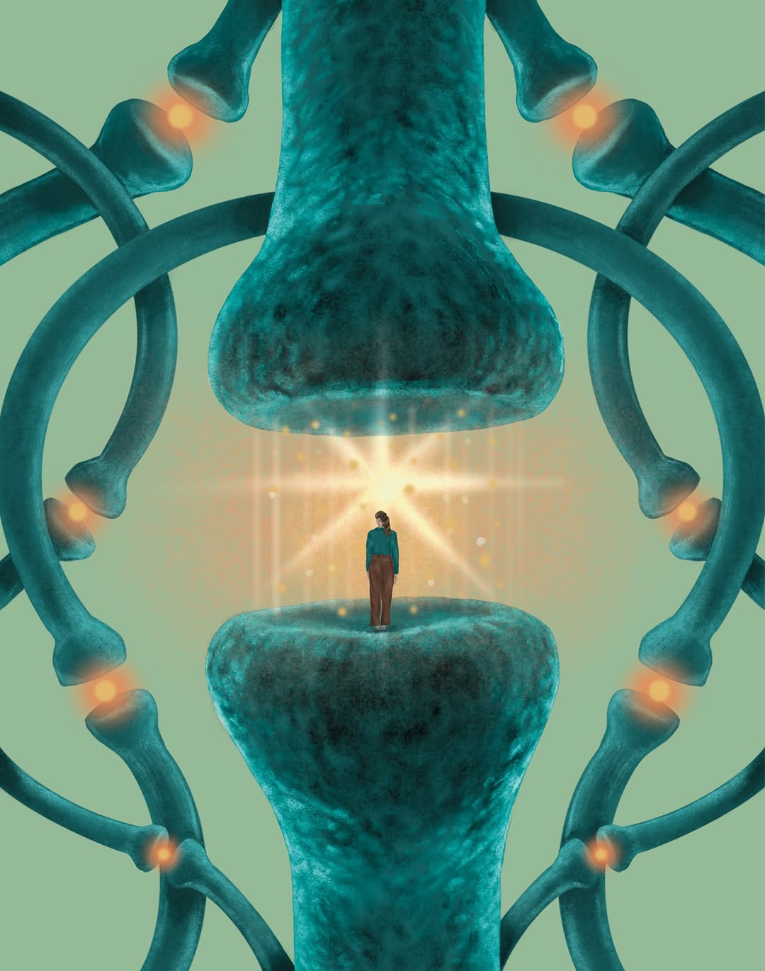 Weill Cornell Medicine |  Nov. 25