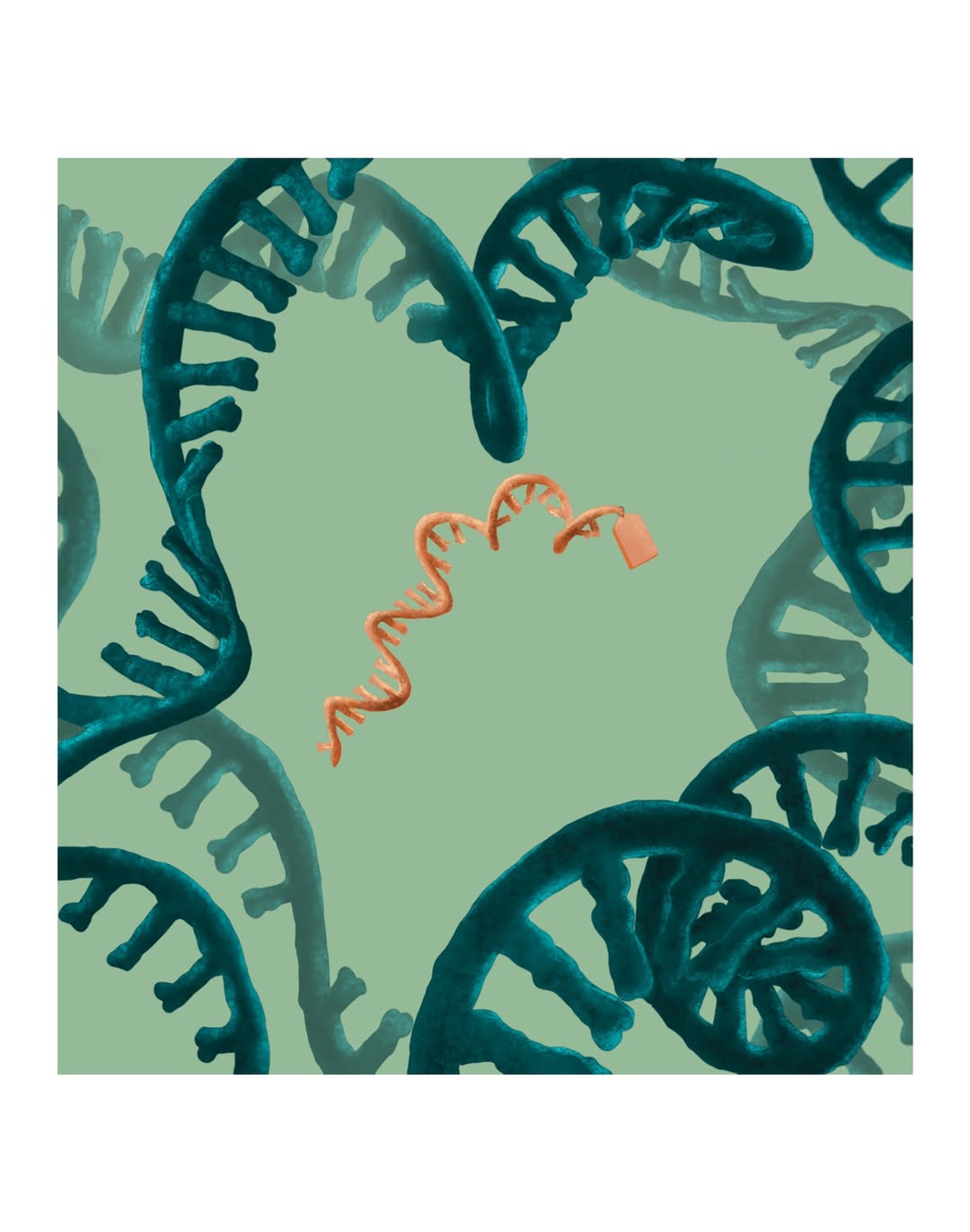 Weill Cornell Medicine |  Nov. 25