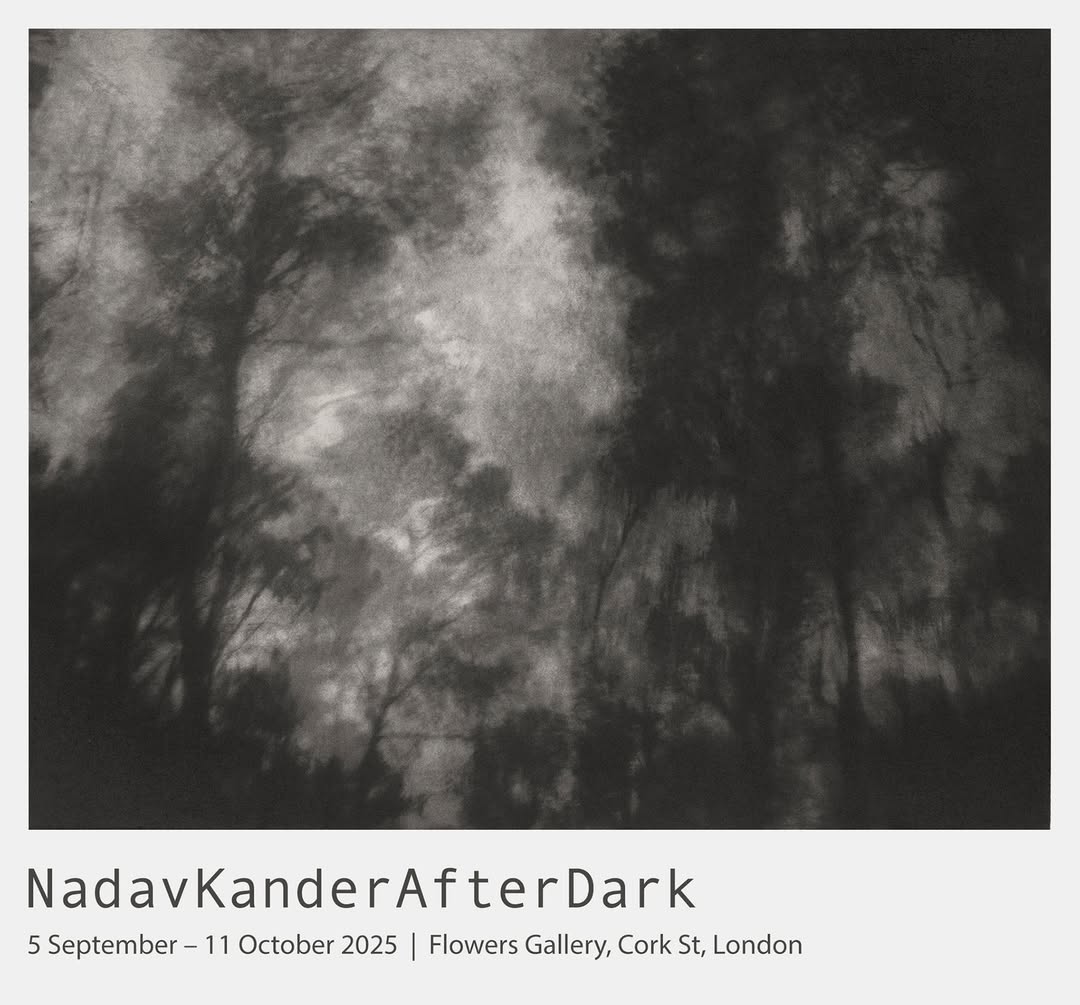 Nadav Kander X Flowers Gallery