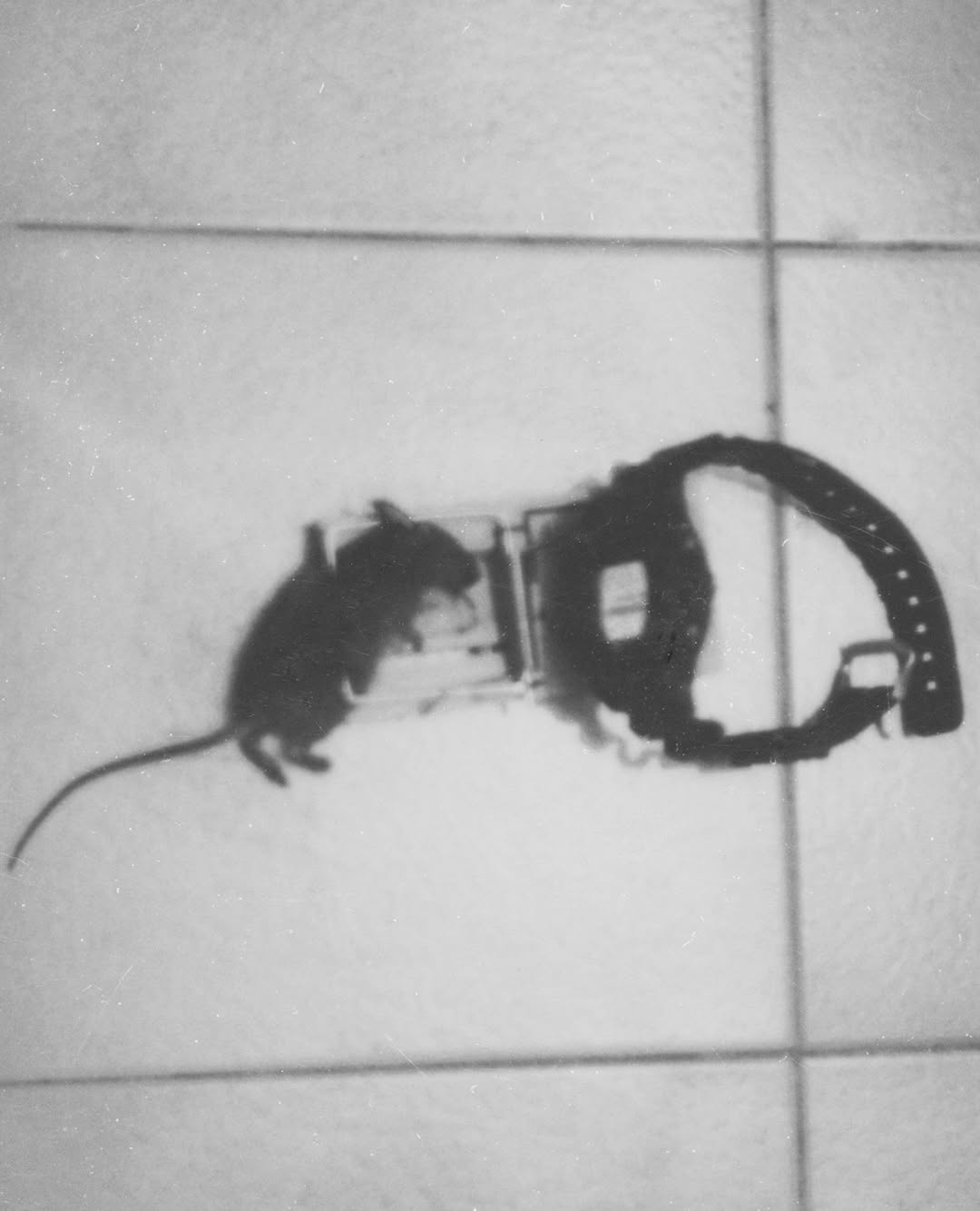 L'Œil de la Photographie |  Oct. 25