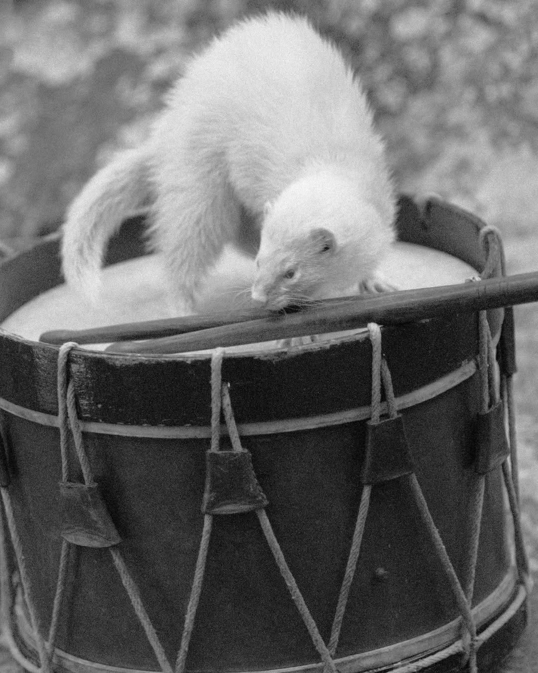 L'Œil de la Photographie |  Oct. 25