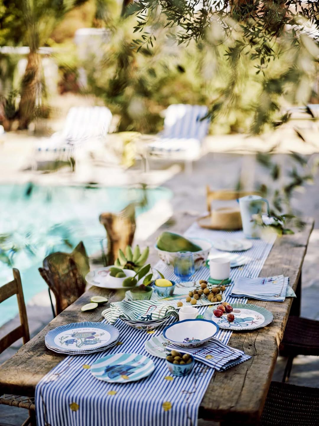 Debi Treloar X Anthropologie Home