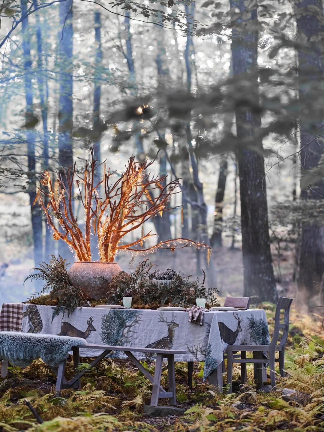 Debi Treloar X Terrain