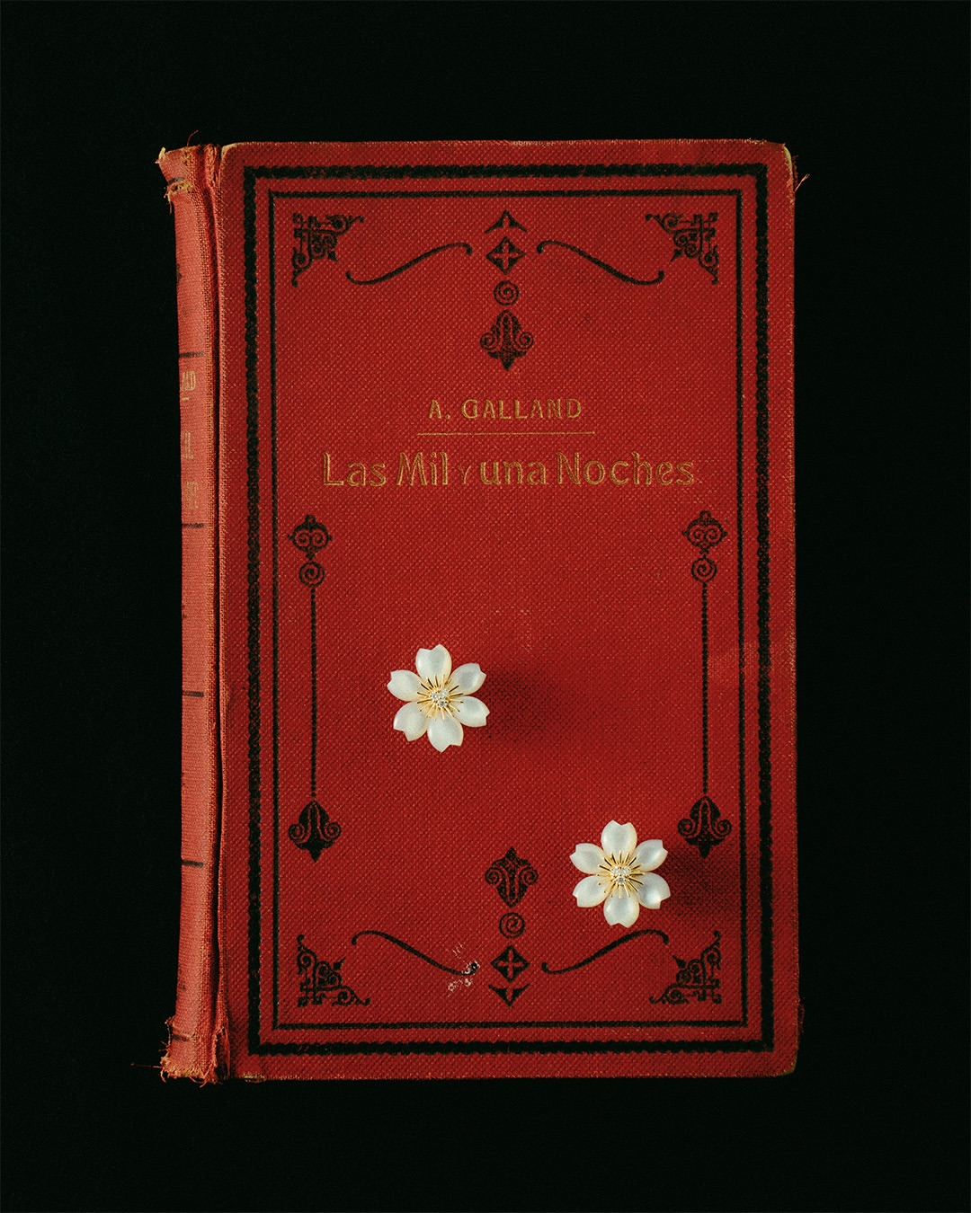 Vogue Spain |  Nov. 25