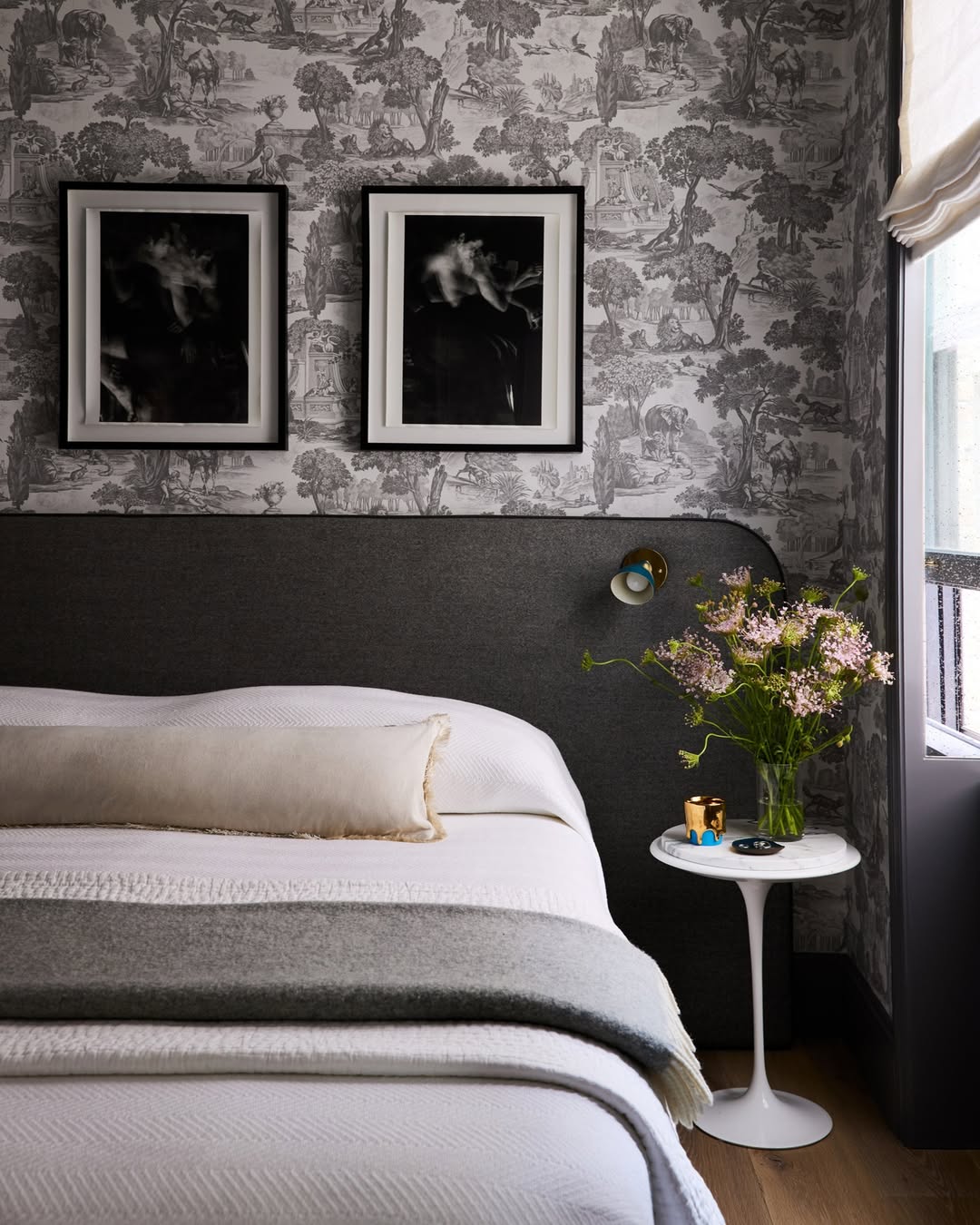 David Land X STONEFOX