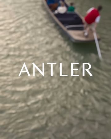 Antler |  May. 25
