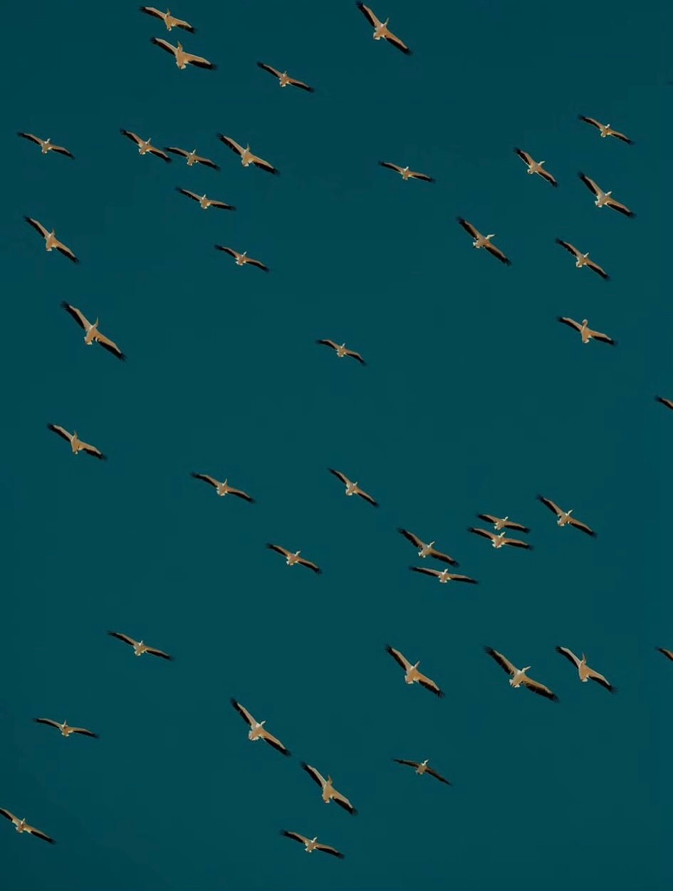 National Geographic Traveller |  Aug. 25