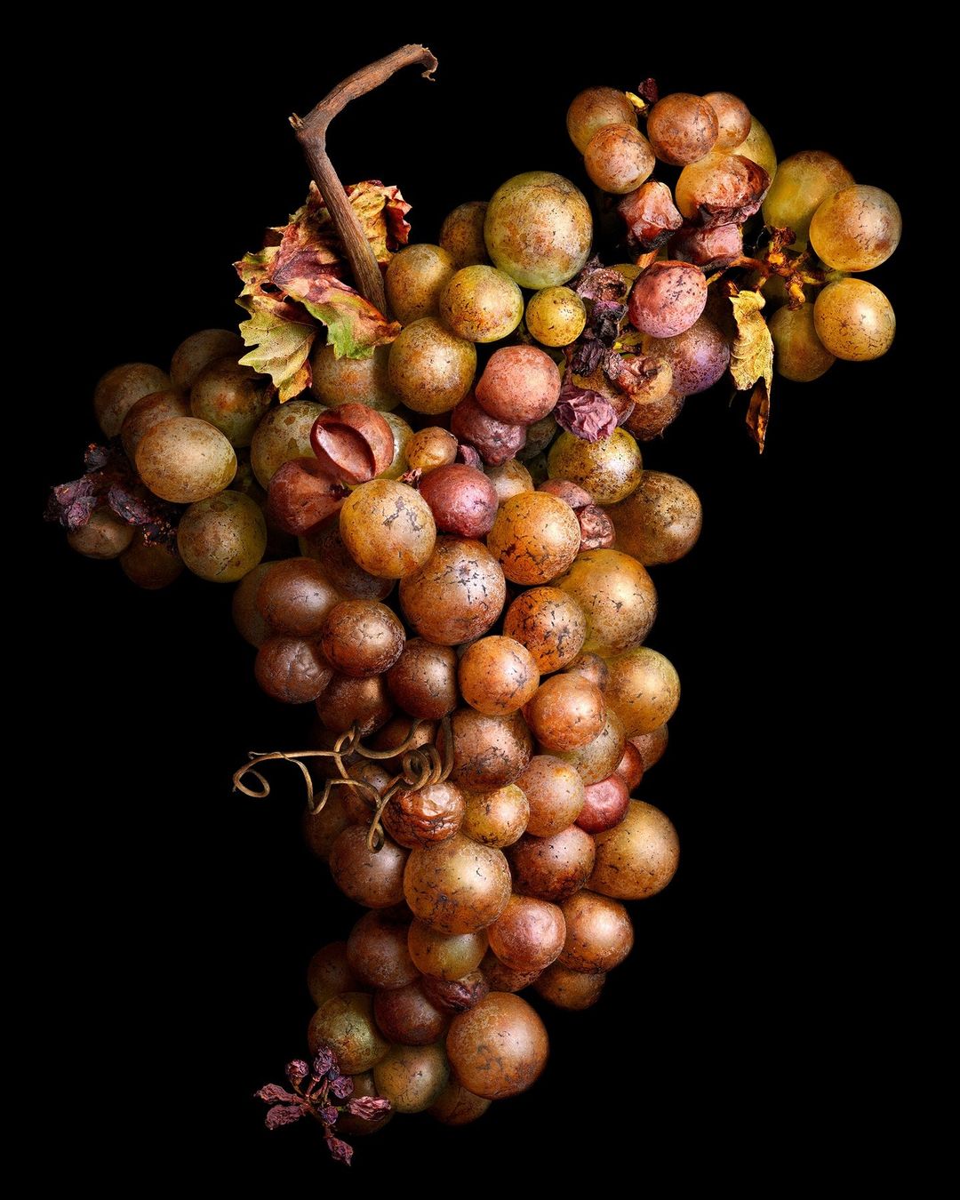 Peter Lippmann The Agents Club