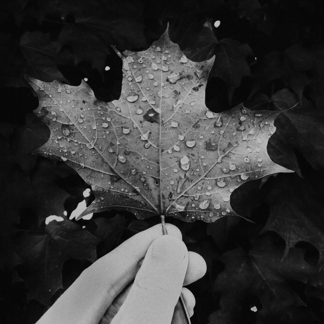  Oct. 25
